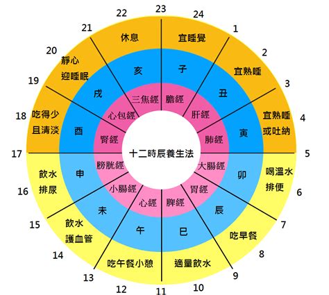 中醫時辰表|中醫養生經典：圖文詳解十二經絡運行時間、屬性、注。